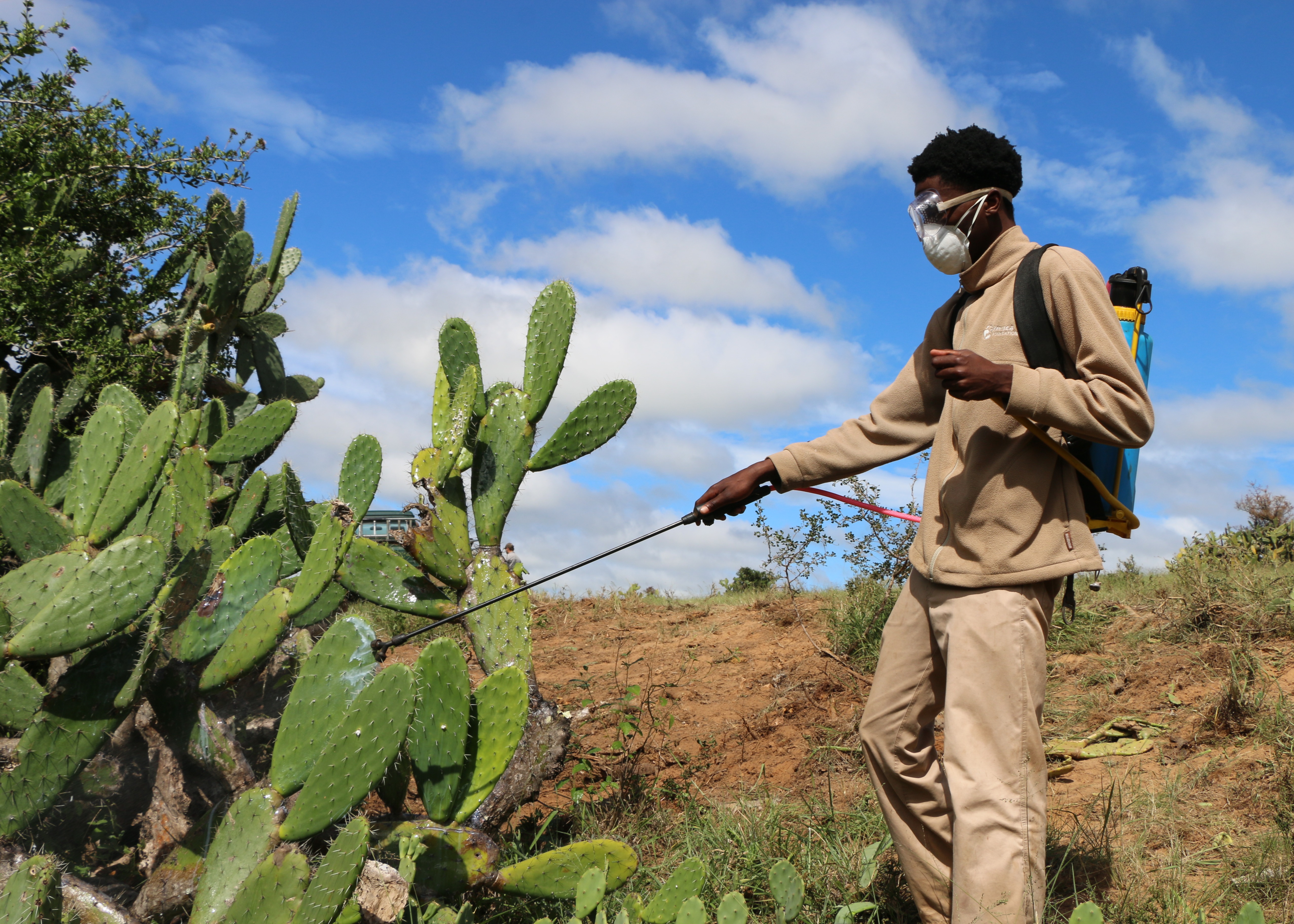 Alien Plant Control On Kariega Game Reserve