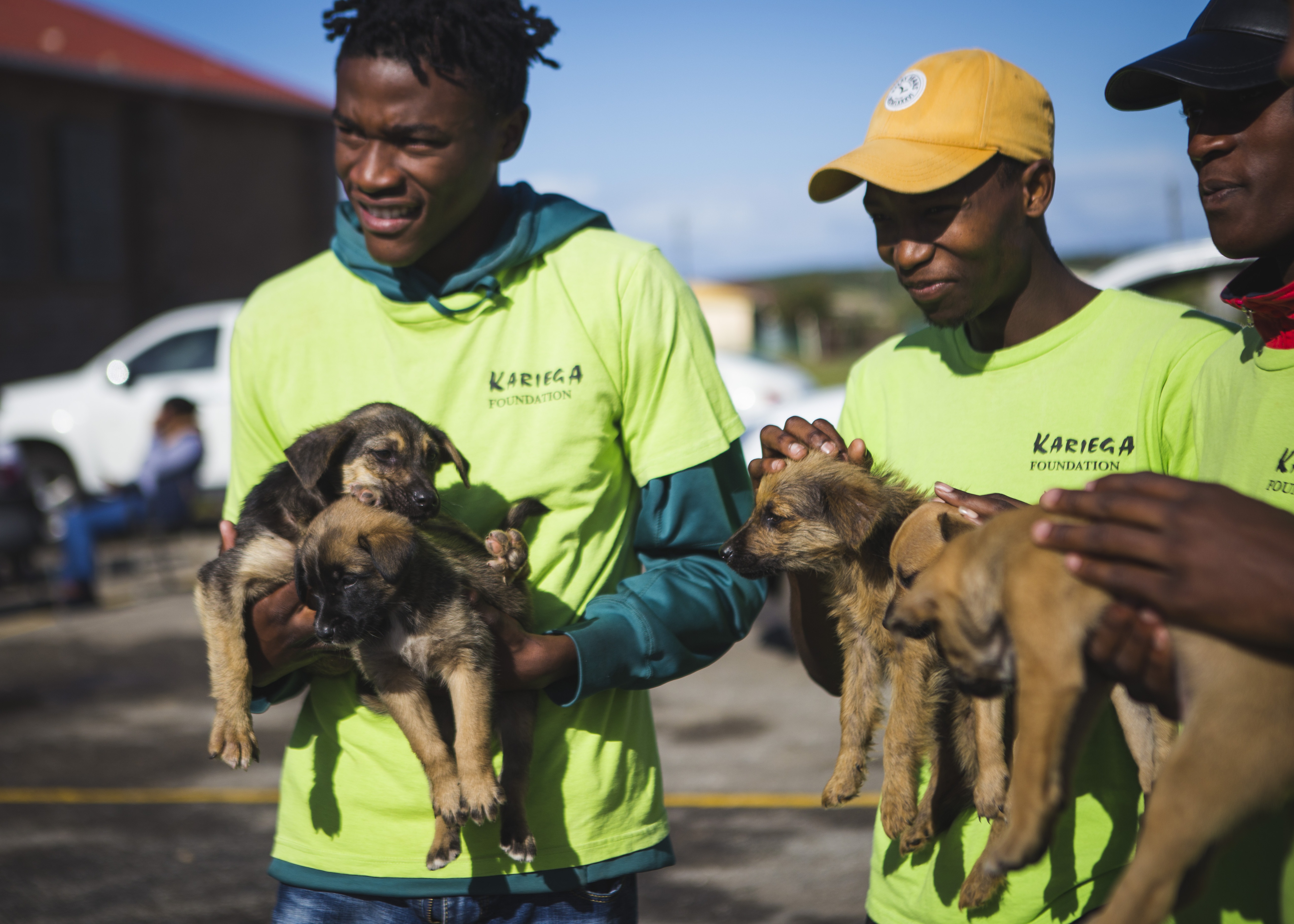 Kariega Foundation Animal Welfare
