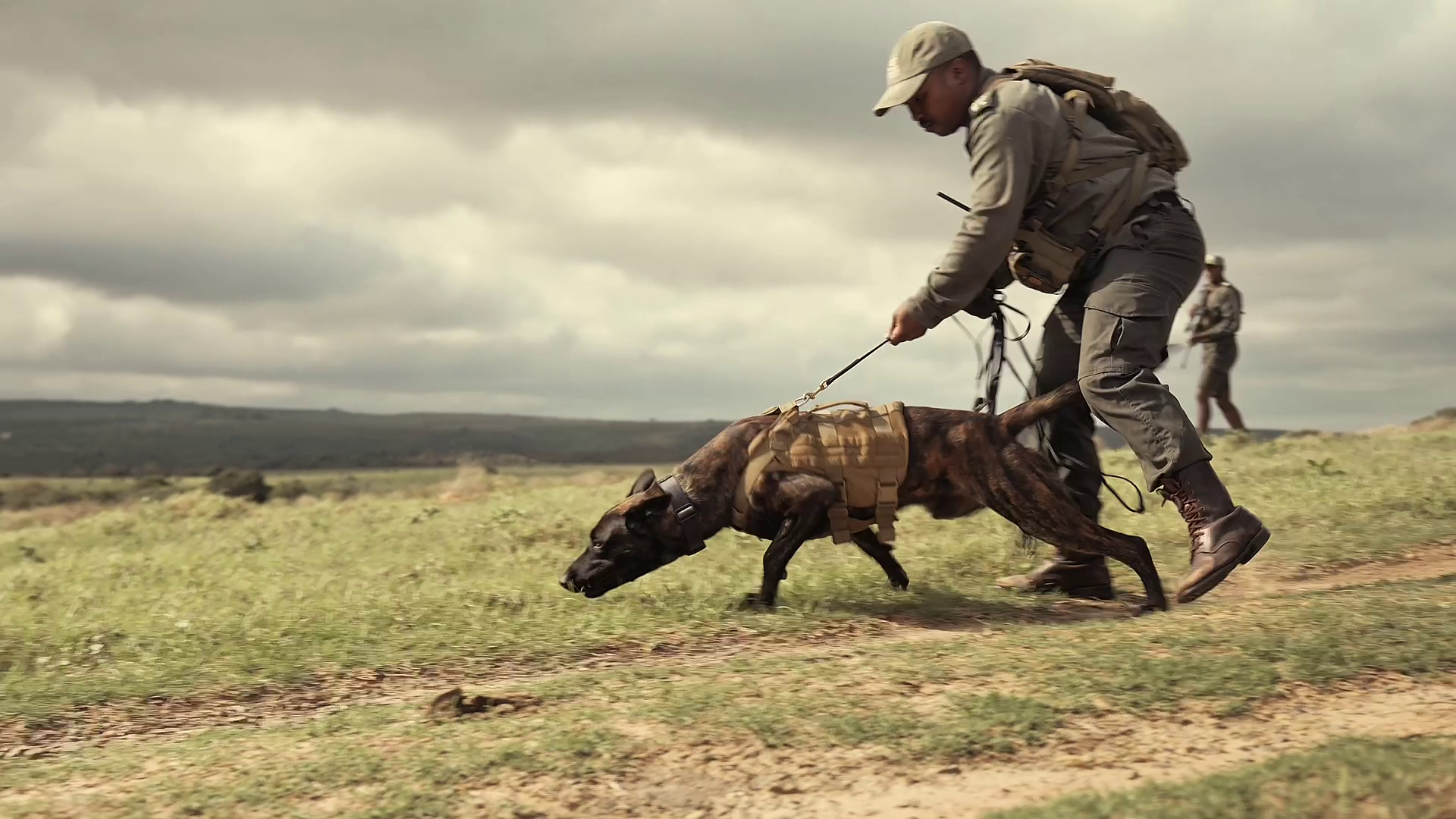 K9 Blake On A Scent Trail   Kariega Game Reserve