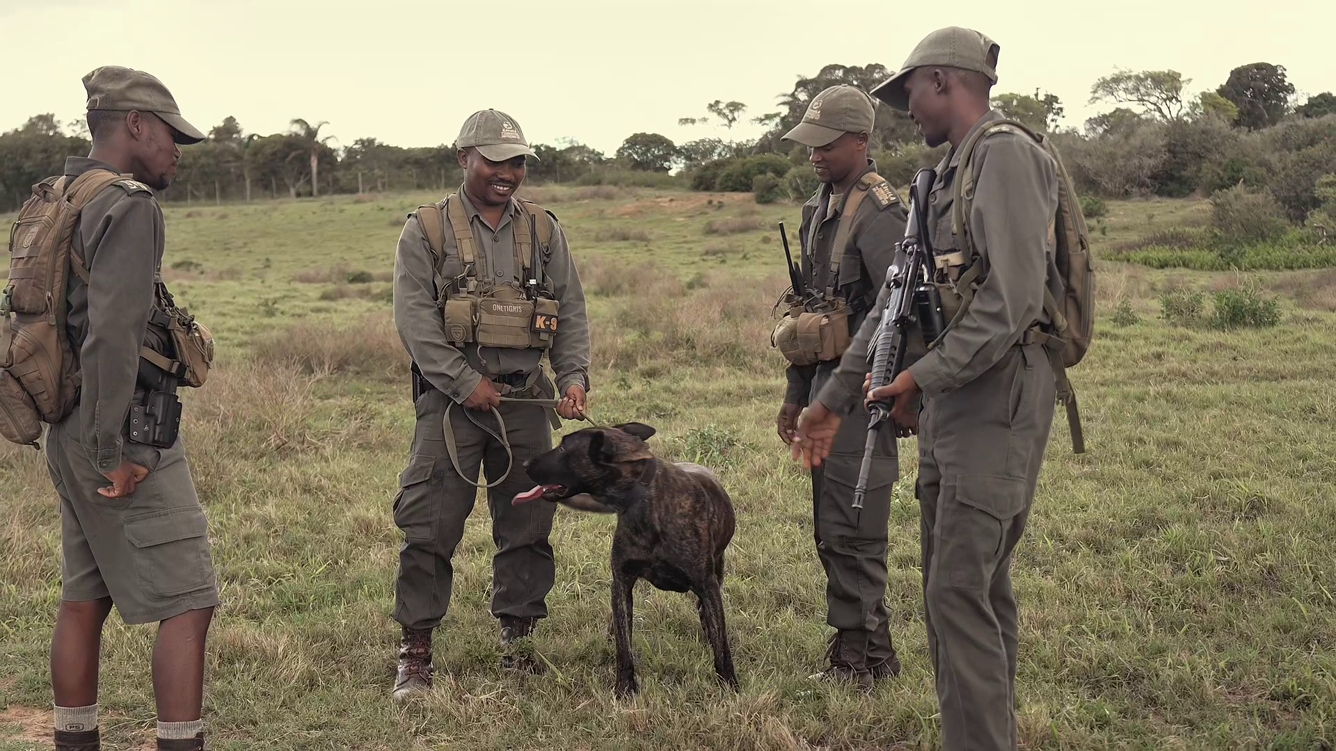 Anti Poaching K9 Unit Supporting Conservation On Kariega Game Reserve