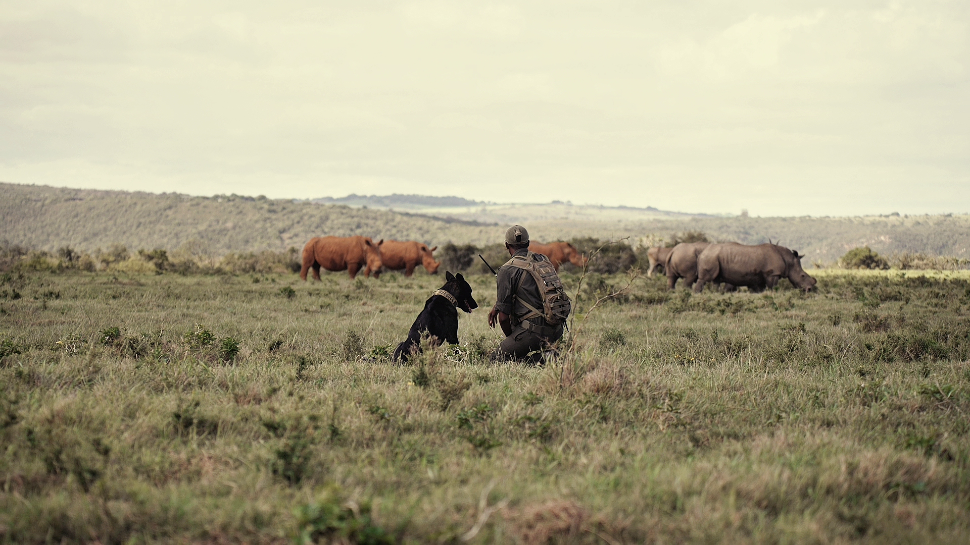 Anti Poaching Unit   Kariega Game Reserve