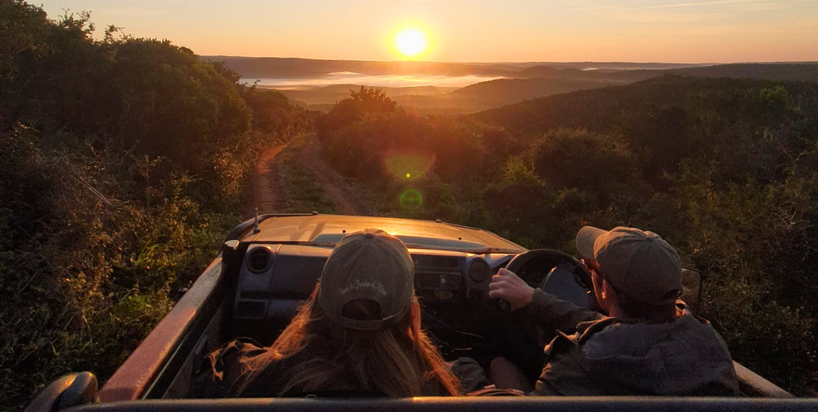 Game Drive On Kariega Game Reserve