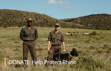 Donate: Help Protect Rhino