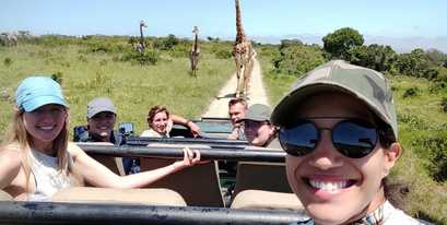 Kariega Conservation Volunteers Giraffe Kariega Conservation Volunteers Giraffe