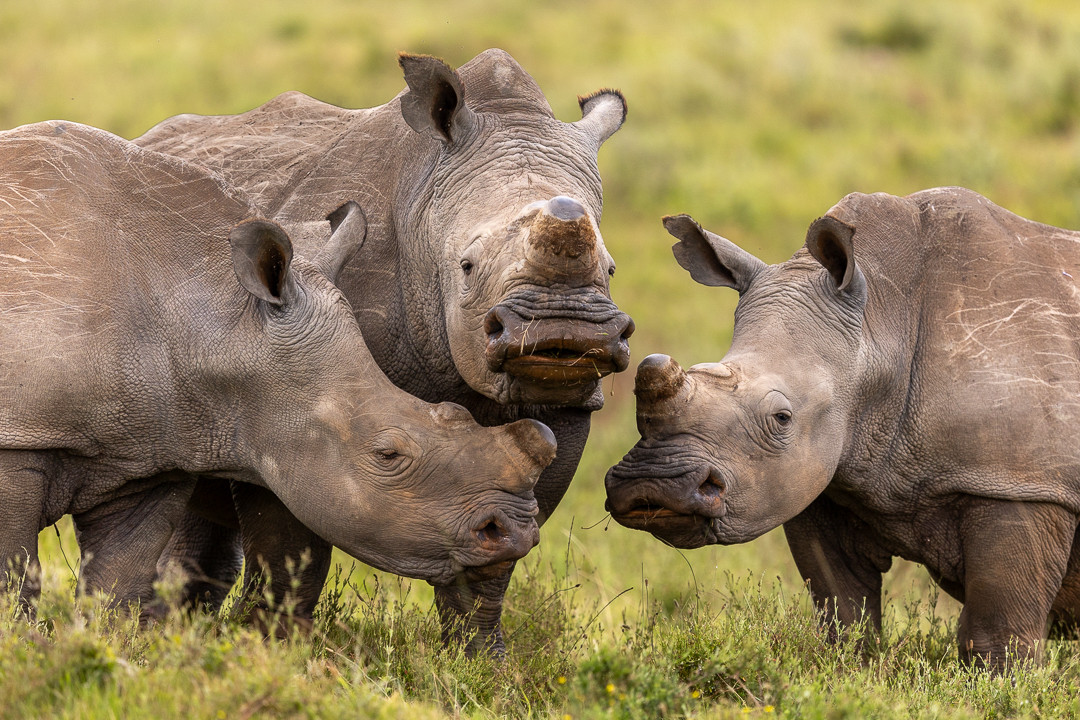 Colin And His Crash Colin And His Crash